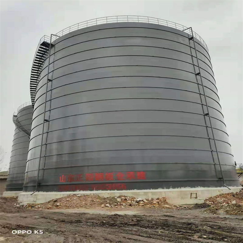 新源3万吨大型钢板库